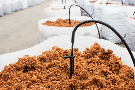 ควบคุม pH ในระบบชลประทาน