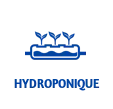 hidroponia