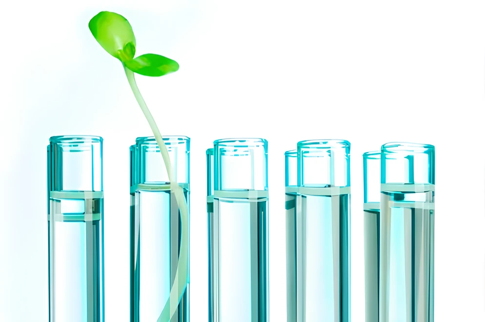 PRODUTTORI E INSTALLATORI DI SISTEMI DI IRRIGAZIONE 02 ec