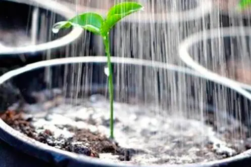 Migliora il tuo sistema di irrigazione