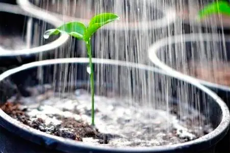 servizi domotica controllo nutrienti